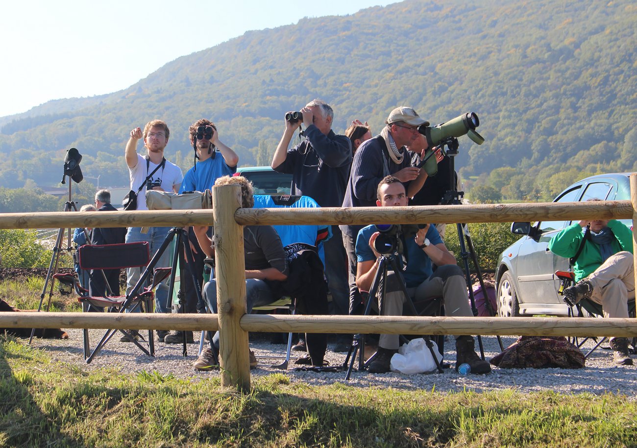 Des membres de la Ligue de Protection des Oiseaux suivent la migration des oiseaux à Fort l'Écluse.