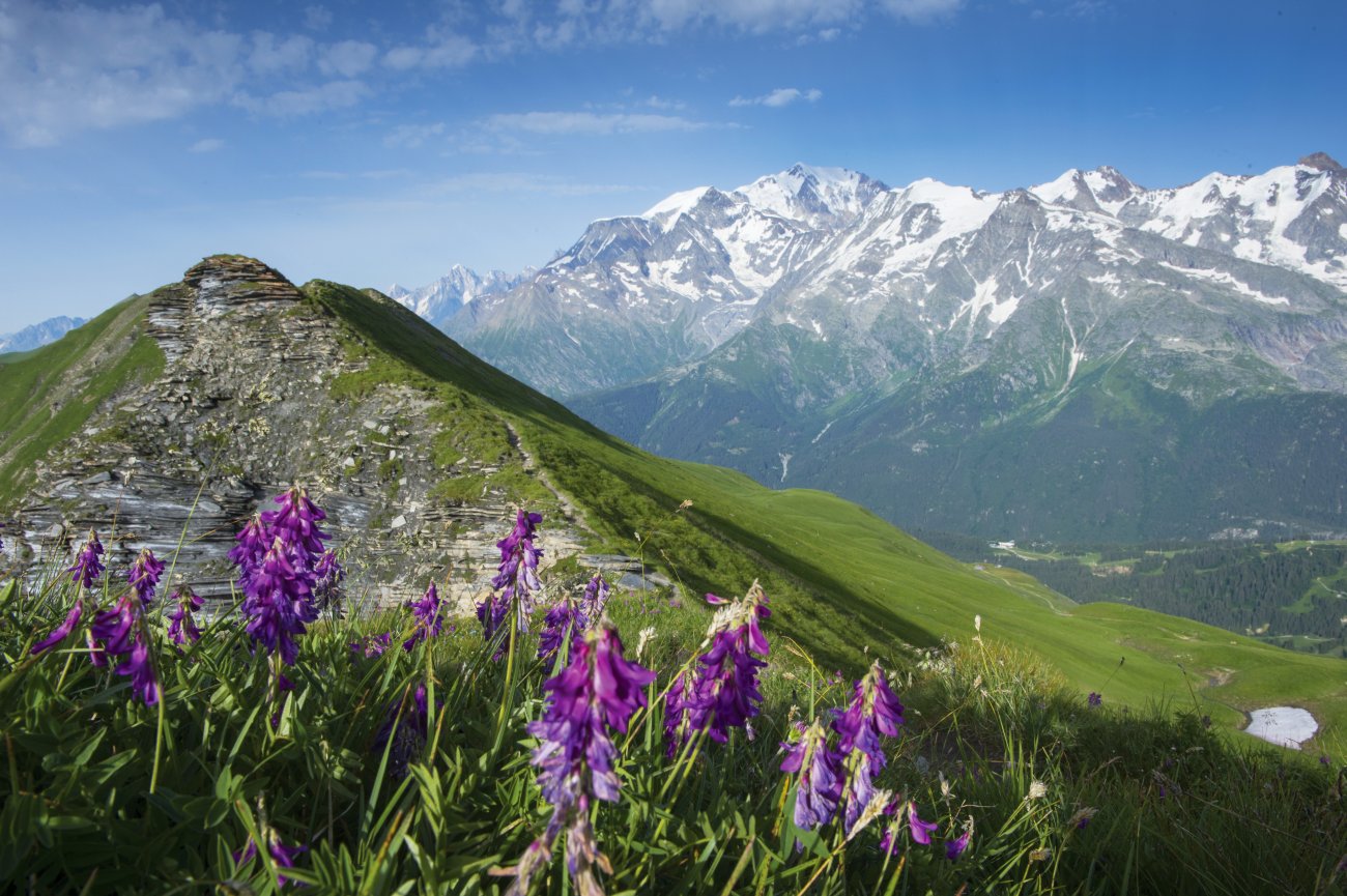 Aiguille Croche et Massif du Mont Blanc 