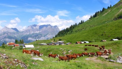 Alpage de Doran à Sallanches