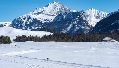 Ski de fond Glières